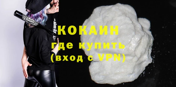 стаф Горняк