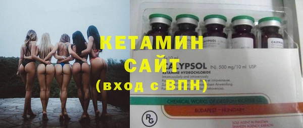 прущие грибы Горно-Алтайск