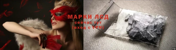 прущие грибы Горно-Алтайск