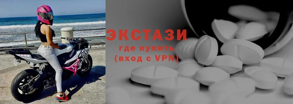 стаф Горняк