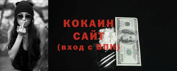 стаф Горняк