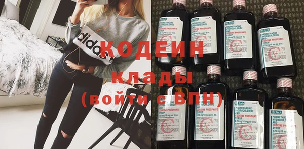прущие грибы Горно-Алтайск