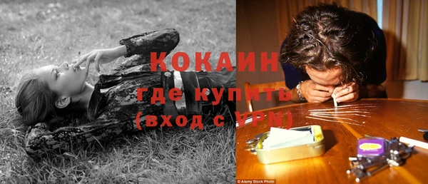 стаф Горняк