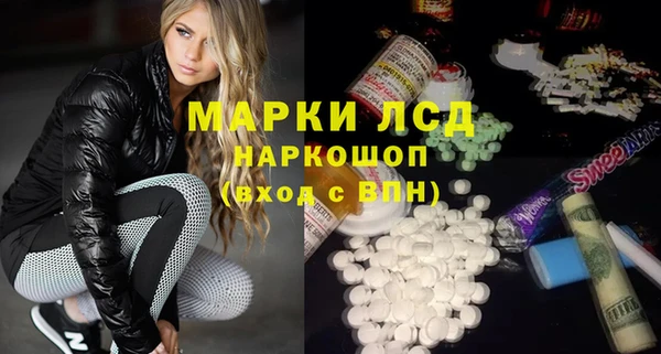 прущие грибы Горно-Алтайск