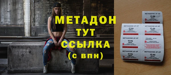 прущие грибы Горно-Алтайск